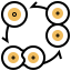 Cell division icon 64x64
