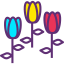 Tulip icon 64x64