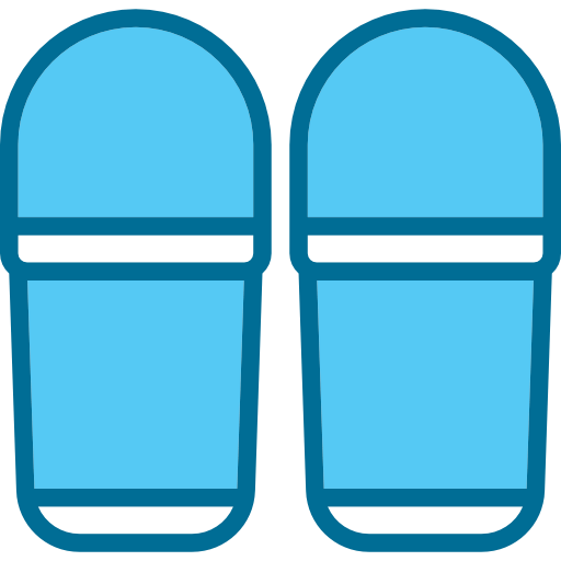 Flip flops icon