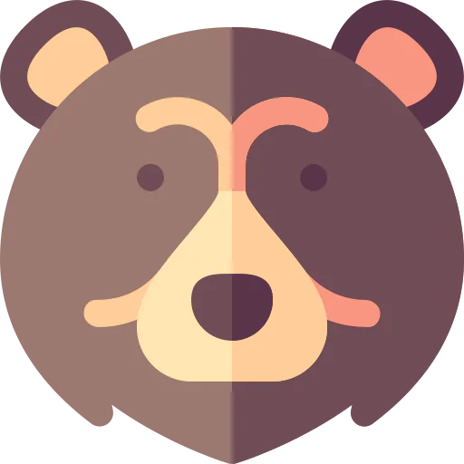 Bear icon