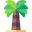 Palm tree 图标 64x64