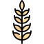 Wheat grain ícone 64x64