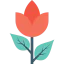 Flower icon 64x64