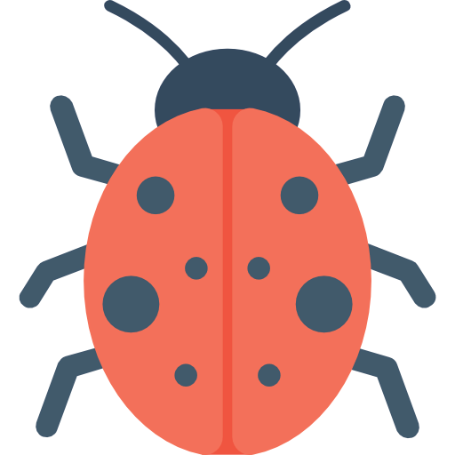 Ladybug 상