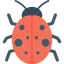 Ladybug Ikona 64x64