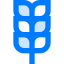 Wheat icon 64x64