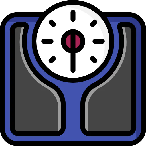 Scale icon