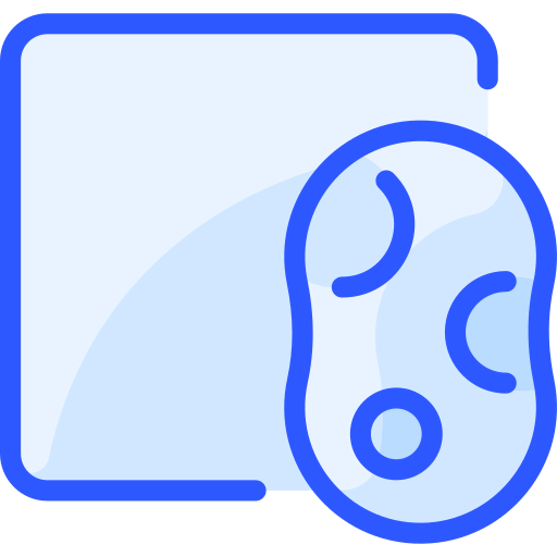 Sponge icon