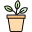 Potted plant icon 64x64