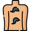 Leech therapy icon 64x64