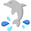 Dolphin icon 64x64