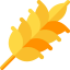 Wheat icon 64x64