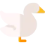 Swan іконка 64x64