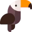 Toucan іконка 64x64