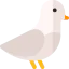 Pigeon іконка 64x64