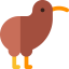 Kiwi іконка 64x64