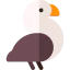 Musk duck іконка 64x64