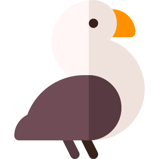 Musk duck icon