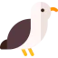 Seagull іконка 64x64