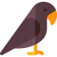 Crow іконка 64x64
