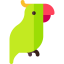 Parrot іконка 64x64