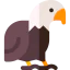 Falcon іконка 64x64