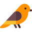 Robin іконка 64x64