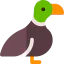 Duck іконка 64x64