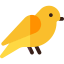 Canary іконка 64x64