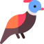 Pheasant іконка 64x64
