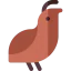 Quail іконка 64x64