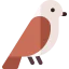 Sparrow іконка 64x64