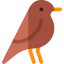 Nightingale іконка 64x64