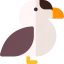 Eider іконка 64x64