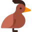 Grebe 图标 64x64
