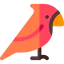 Cardinal 图标 64x64