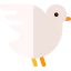 Dove 图标 64x64