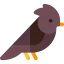 Skylark 图标 64x64