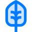 Leaf biểu tượng 64x64