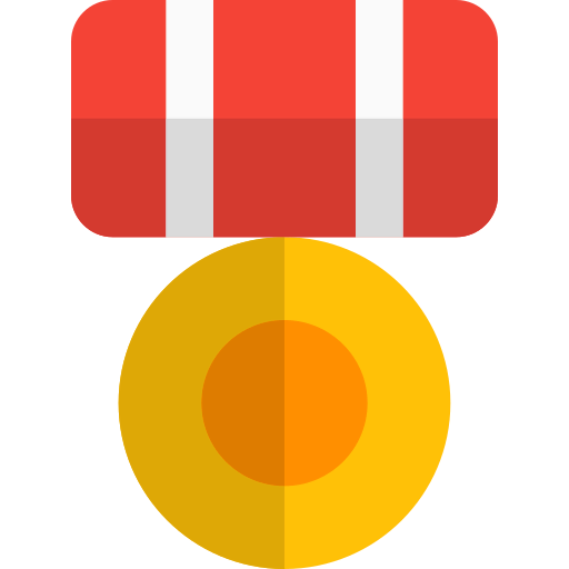 Defence icon