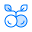 Cherry icon 64x64