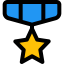 Medal of honor 상 64x64