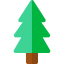 Pine icon 64x64