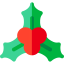 Mistletoe icon 64x64