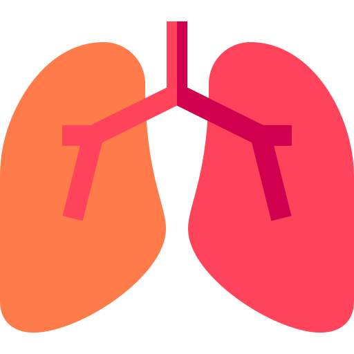 Lungs 상