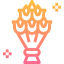 Bouquet icon 64x64