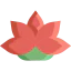 Blossom 图标 64x64