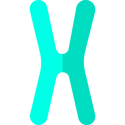 Chromosome string 상