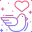 Dove icon 64x64