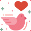 Dove icon 64x64